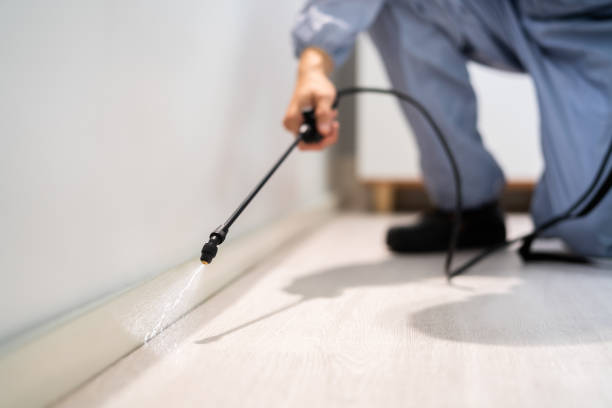 Licensed Cockroach Control service in Deatsville, AL - Nex Pest Control