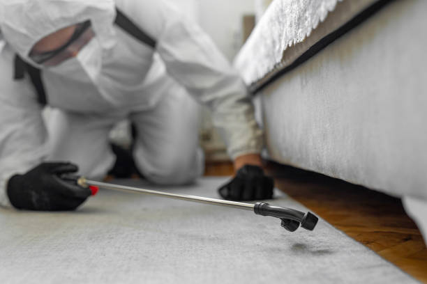 Professional Cockroach Control technician working in Deatsville, AL