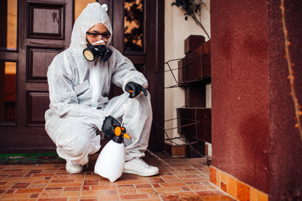 Reliable Cockroach Control contractor in Deatsville, AL by Nex Pest Control